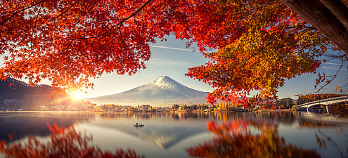 Момидзи: сезон красных кленов в Японии